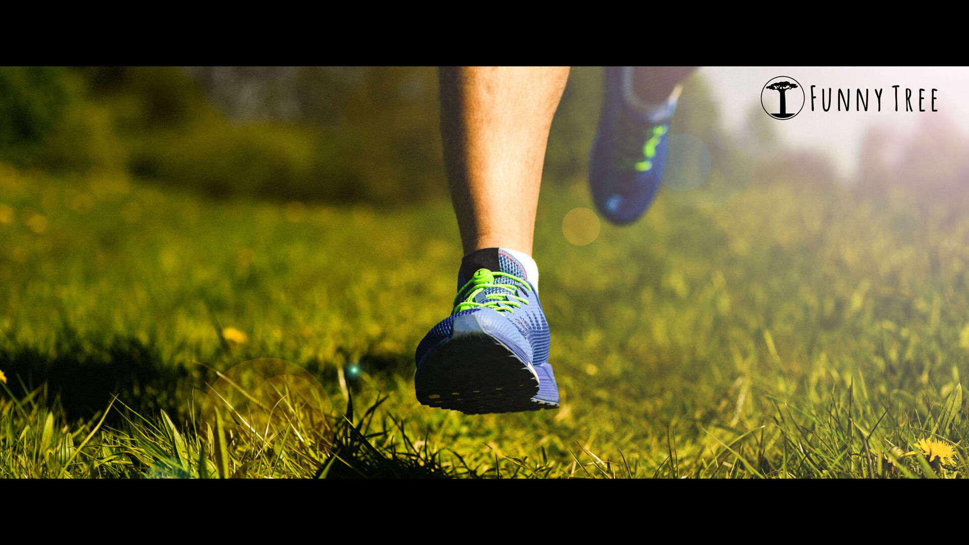 funnytree-elastische-schnuersenkel-speed-locks-running-wald